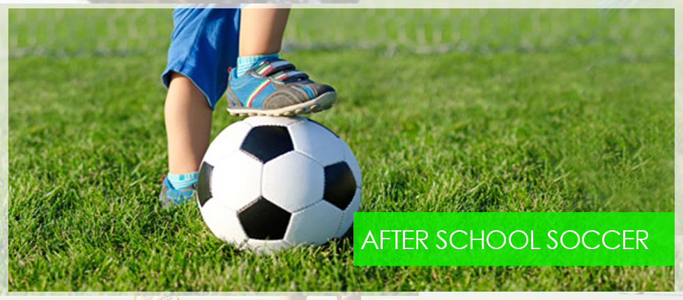 After School Tennis Program | Euroschooloftennis.com