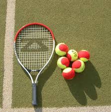 Euro School of Tennis’ Pee Wee and Mini Aces Tennis Programs For Little Ones