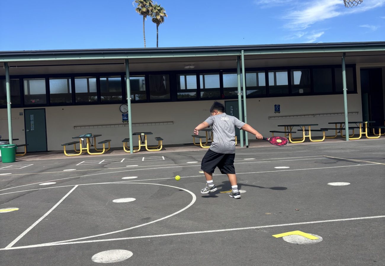 Pickleball 3